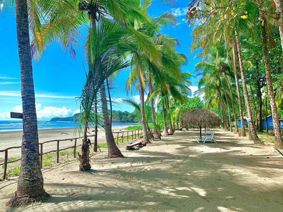 Hotel Oasis & Surf Camp Santa Catalina Bagian luar foto