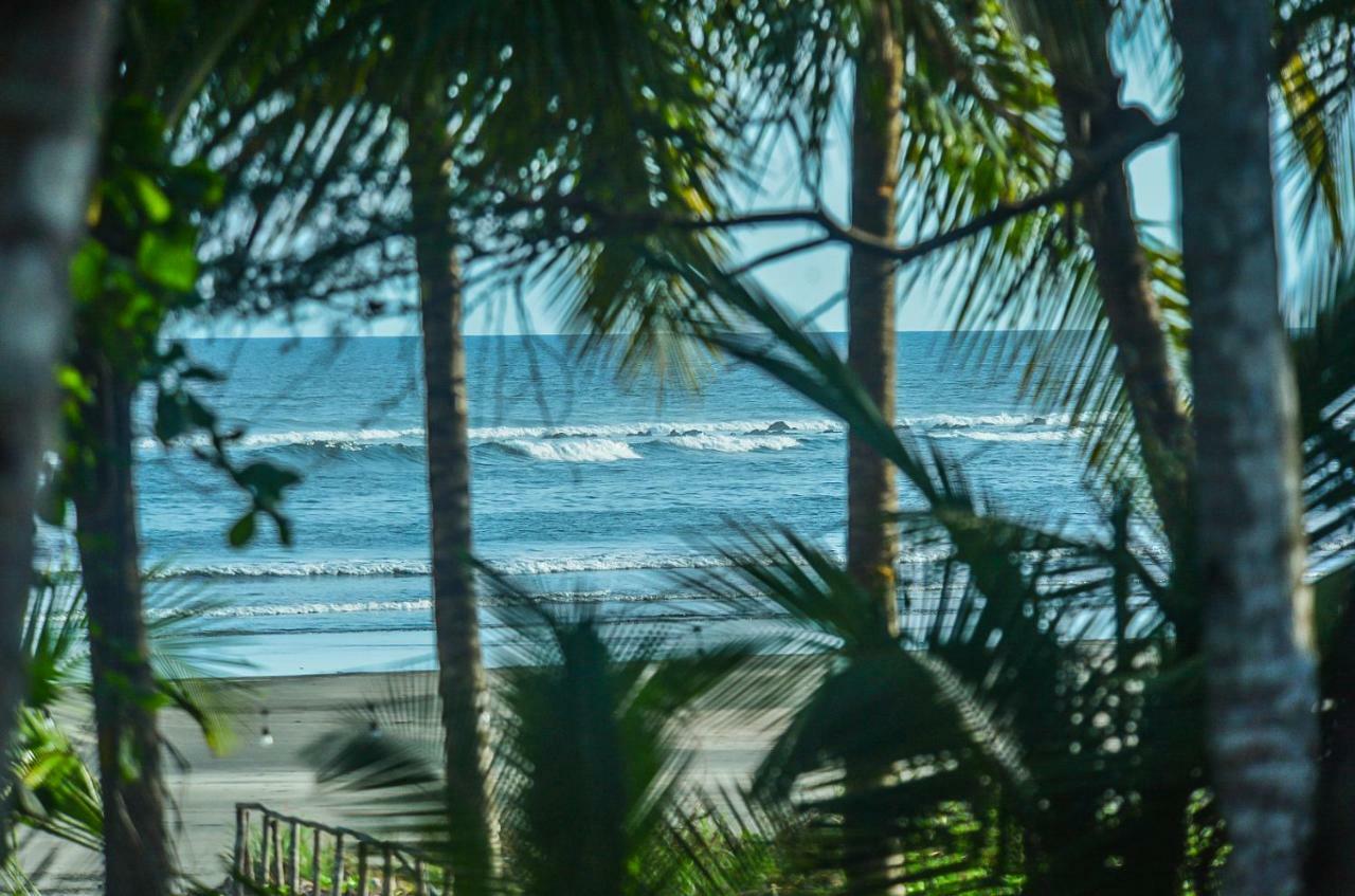 Hotel Oasis & Surf Camp Santa Catalina Bagian luar foto